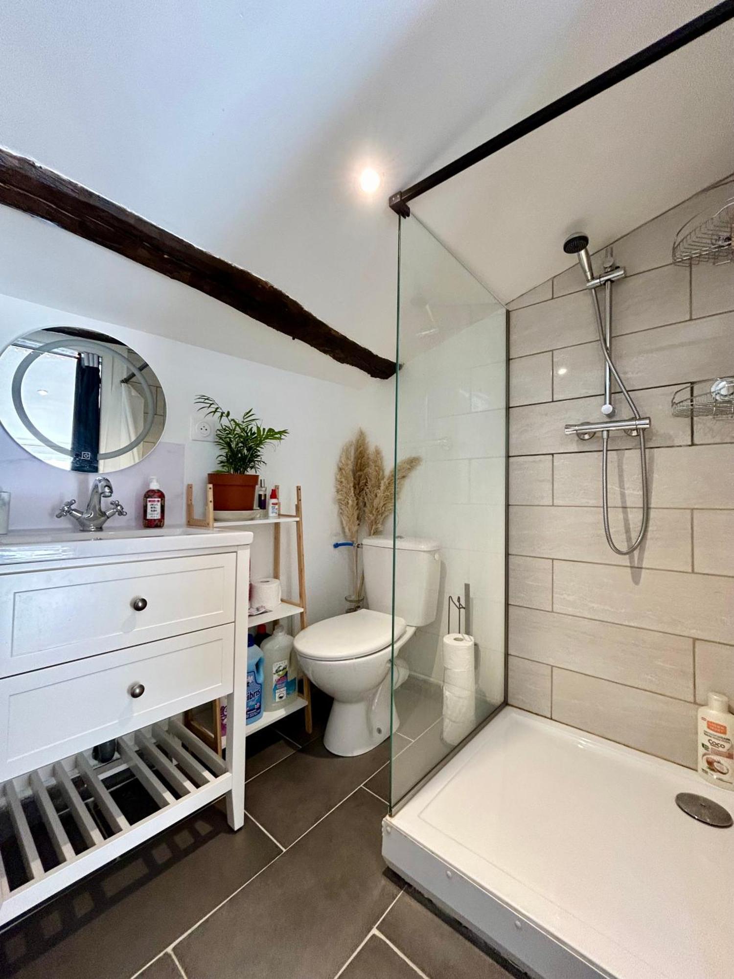 Loft Hortensia Hyper Centre Castres كاسْتْرْ المظهر الخارجي الصورة