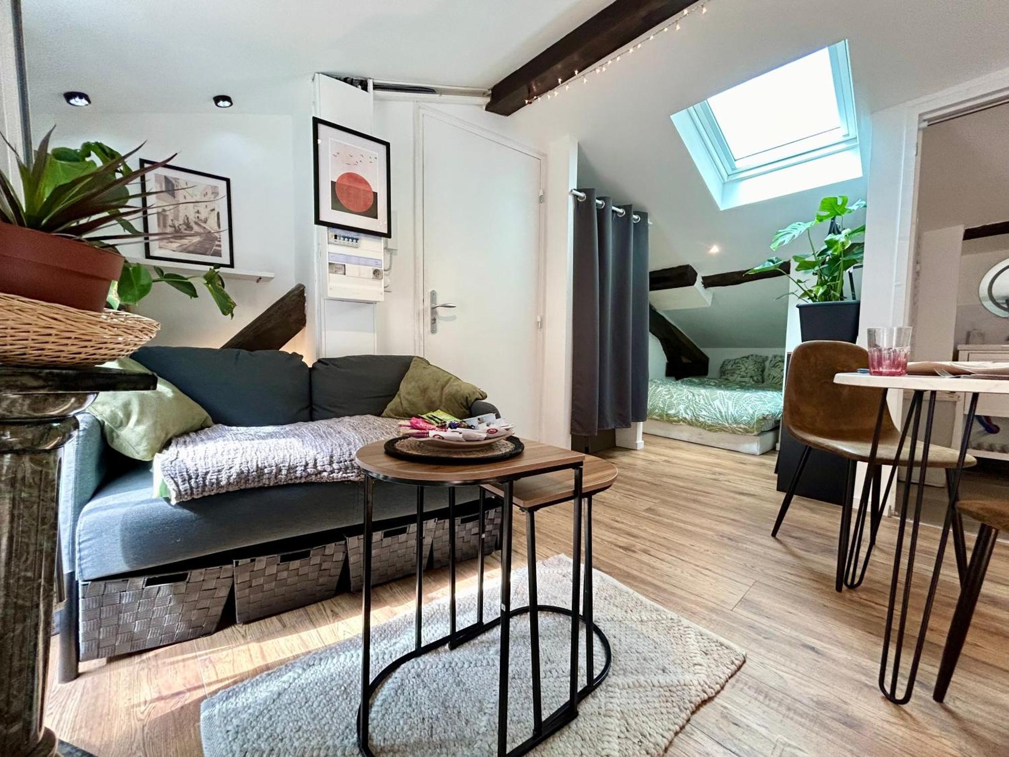 Loft Hortensia Hyper Centre Castres كاسْتْرْ المظهر الخارجي الصورة