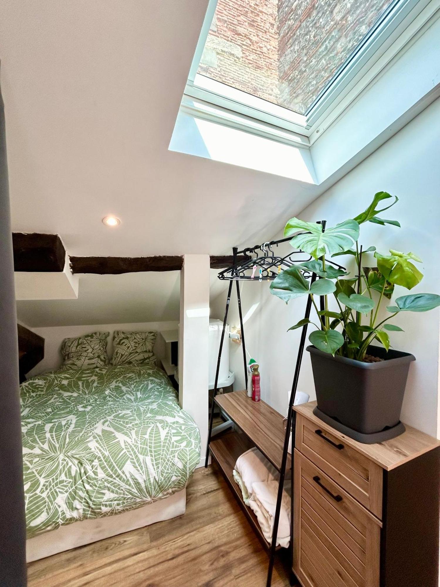 Loft Hortensia Climatise Hyper Centre Castres كاسْتْرْ المظهر الخارجي الصورة